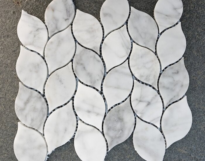 Carrara Elegnate Lehti