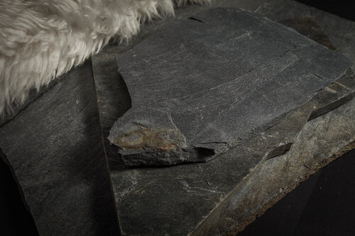 Liuskekivi: Välimeren Tumma  (1-2 cm)